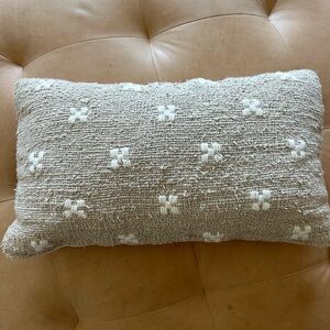 Chic throw pillow from West Elm. Recently purchased.